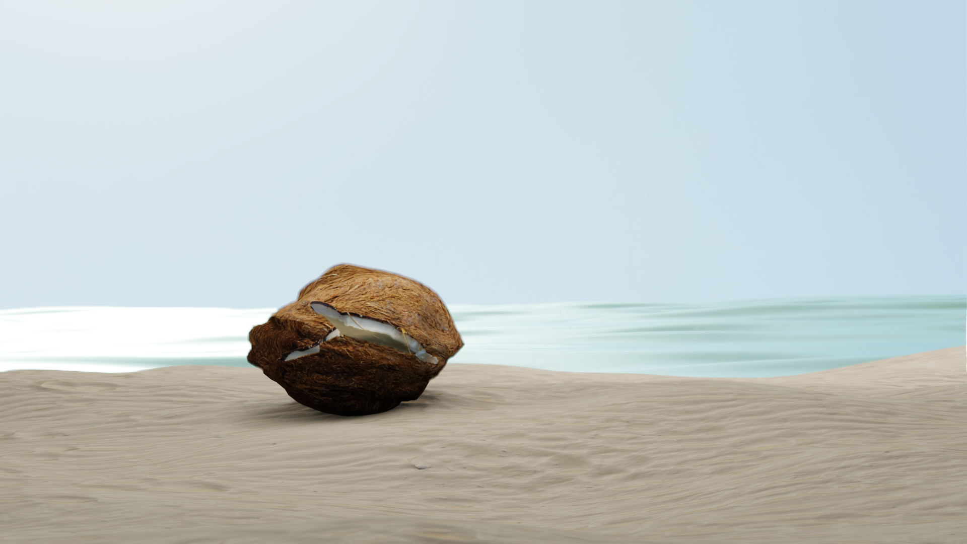 Coconut Rock