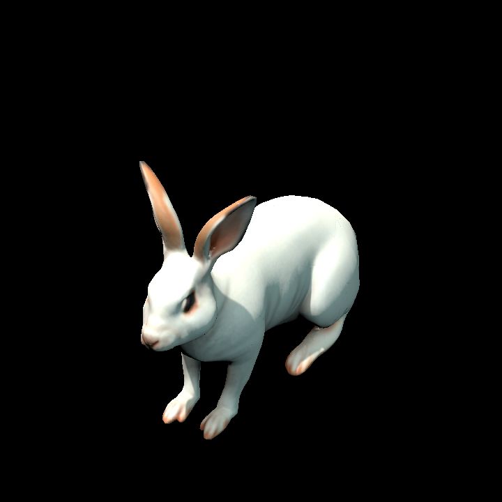 White Rabbit v1