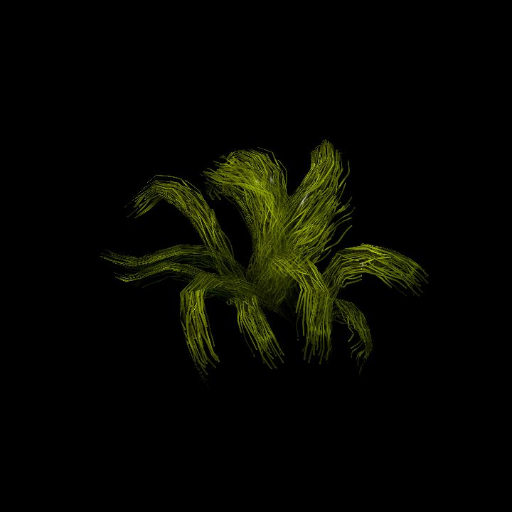 SwampTussocksSmallF_7