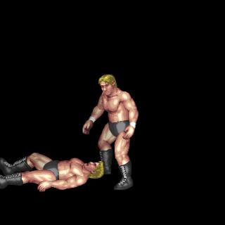 Pedigree + Curb Stomp (Seth Rollins)