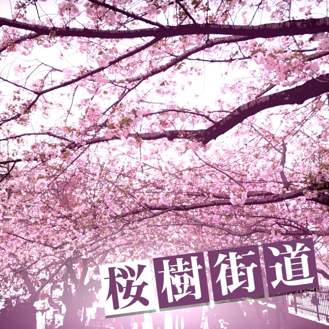 桜樹街道