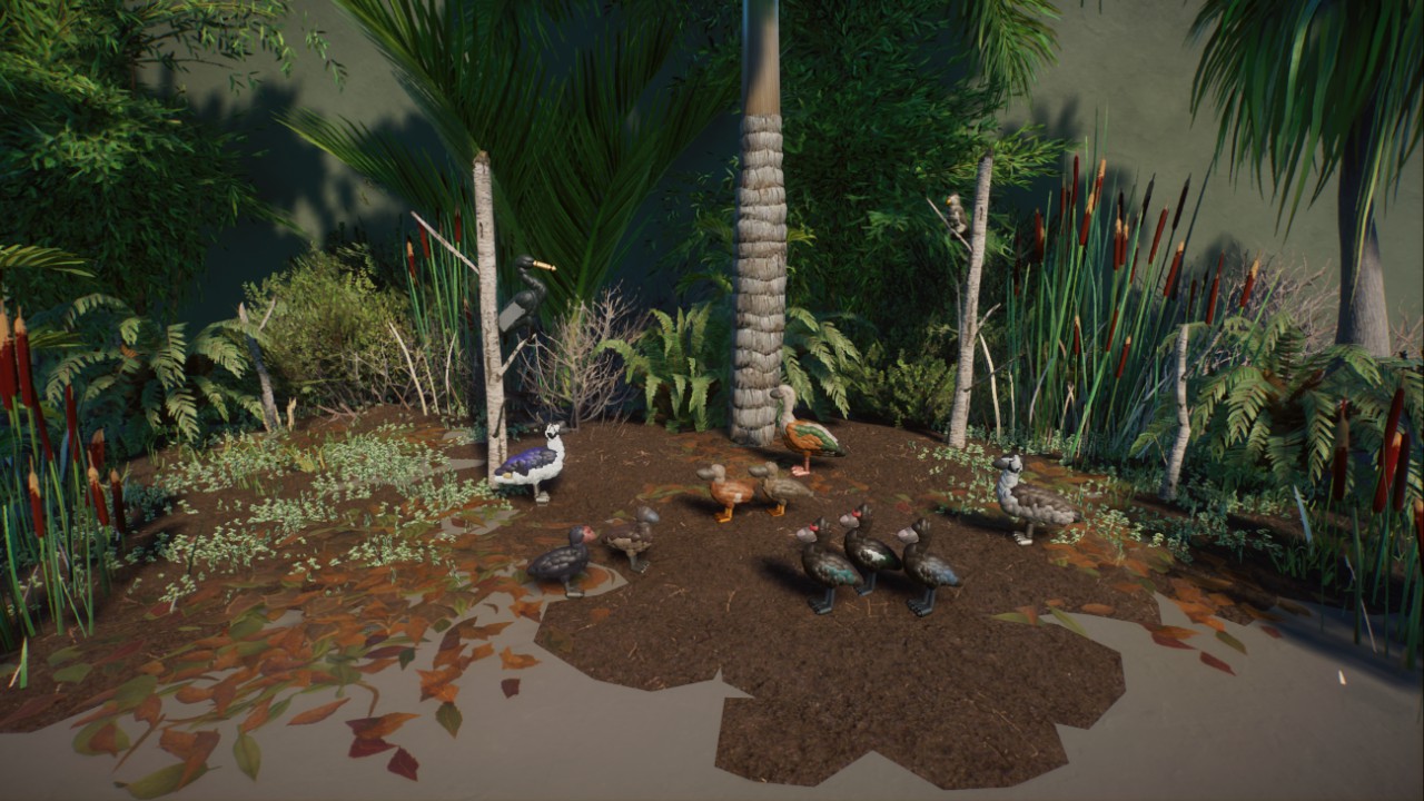 Rick's South American Wetlands Birds preview