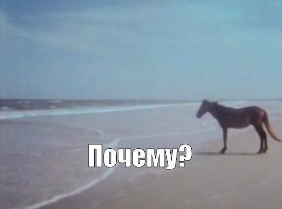 домашняя солянка 2