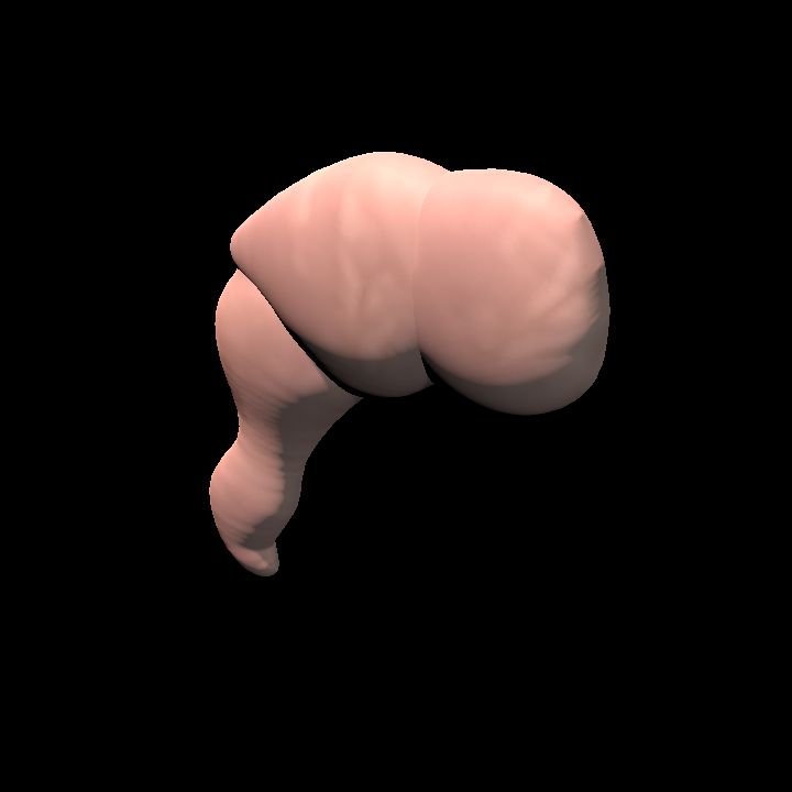 Flesh Bug Leg 1