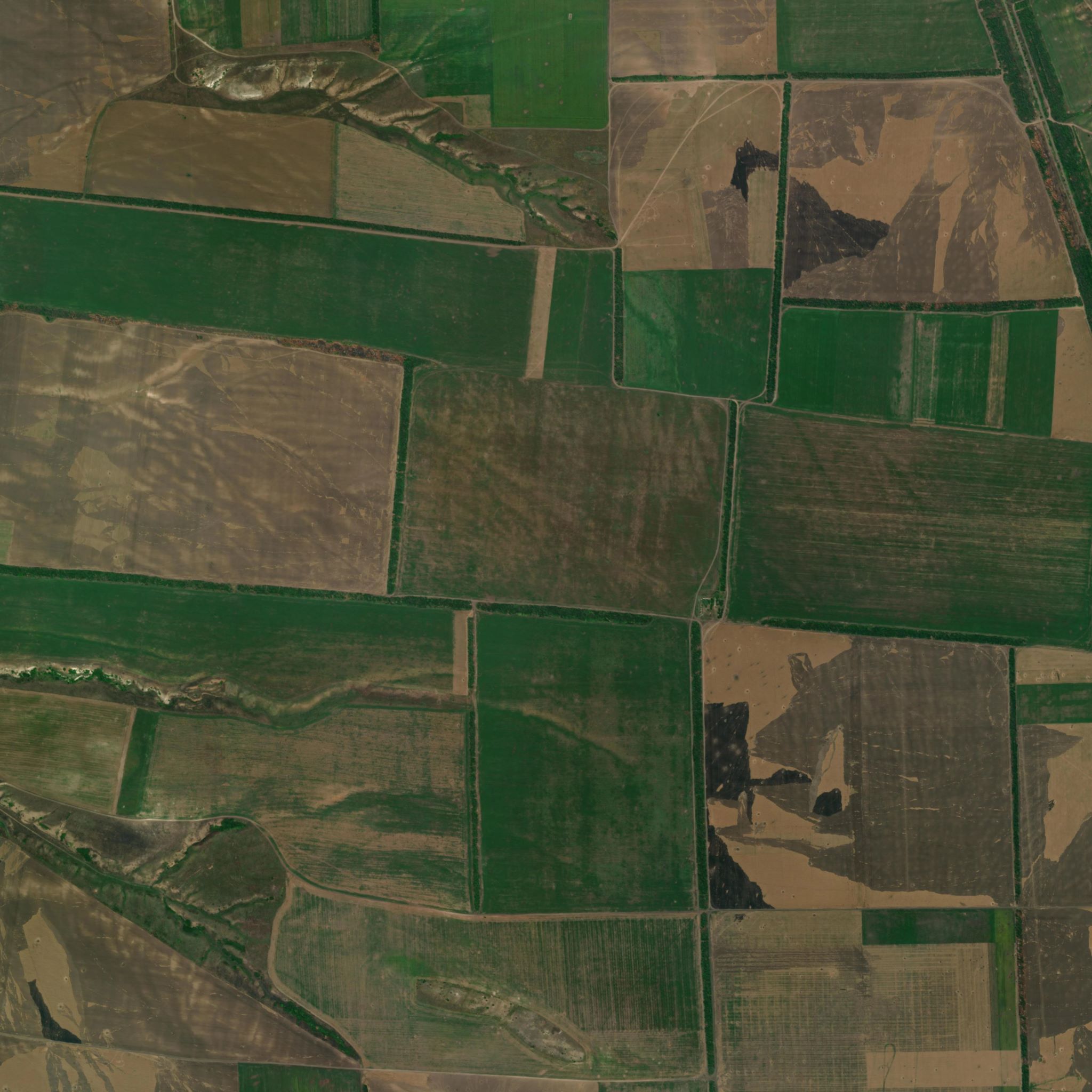 Donetsk Fields