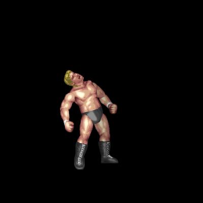 Roman Reigns Taunt