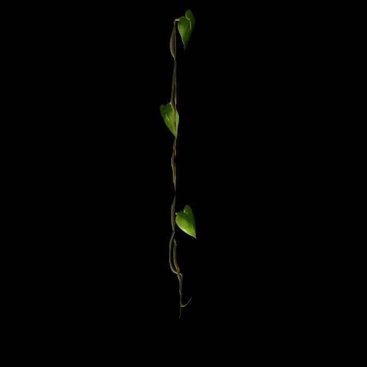 Vine_21