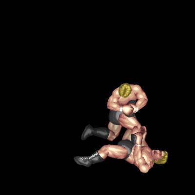 レッグロック(正面向き)