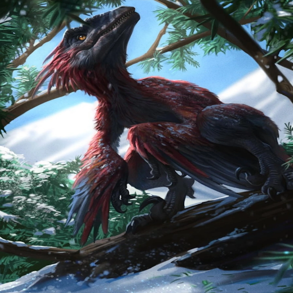 Pyroraptor Country preview