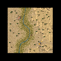 Desert Duel