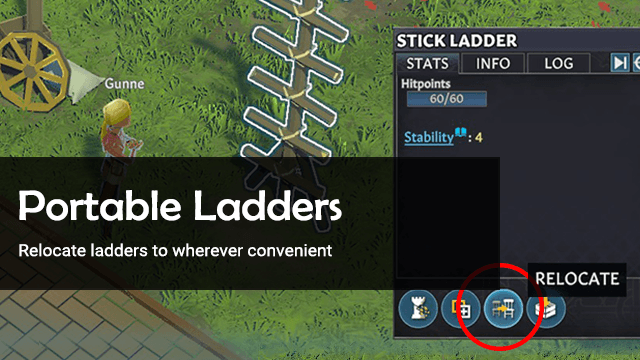 Portable Ladders