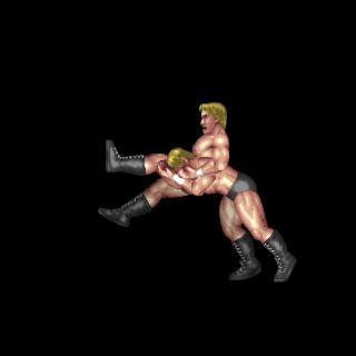 ブルドッキングヘッドロック／Bulldogging Headlock
