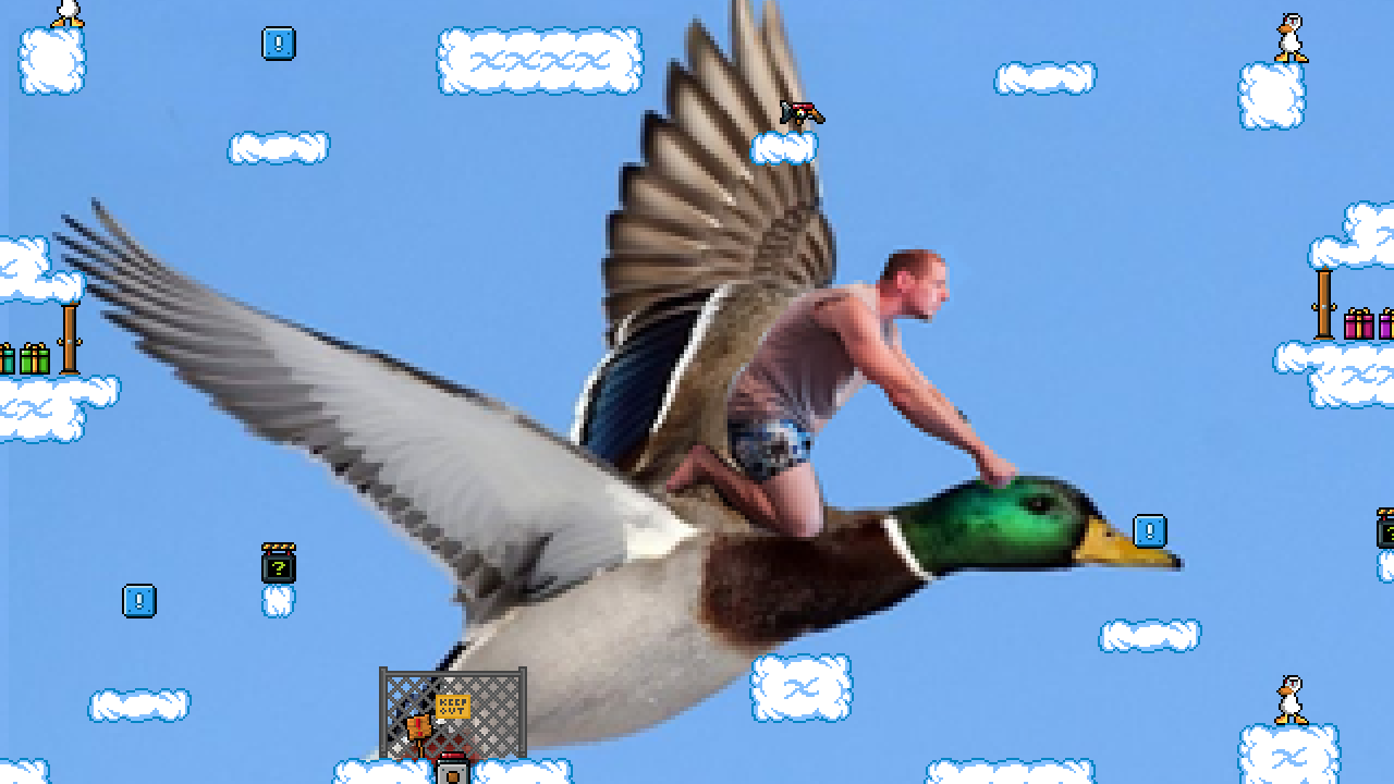 Neverending Duck arena