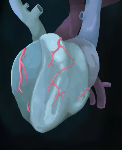 Act 4 Heart