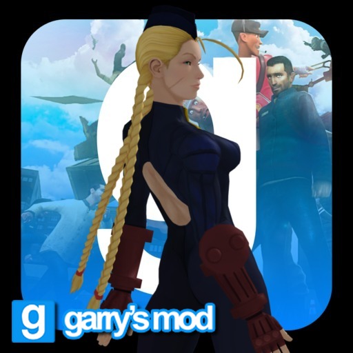 Shadaloo Cammy PM