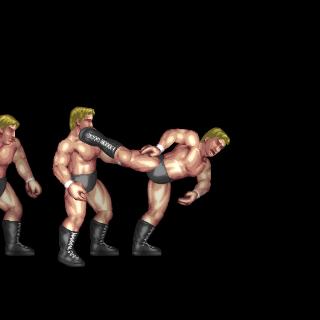 Superkick Pedigree Combo