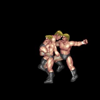 Assisted Lariat