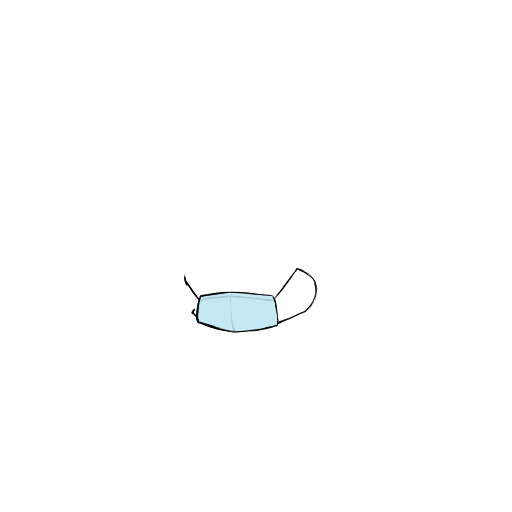 Large Mask