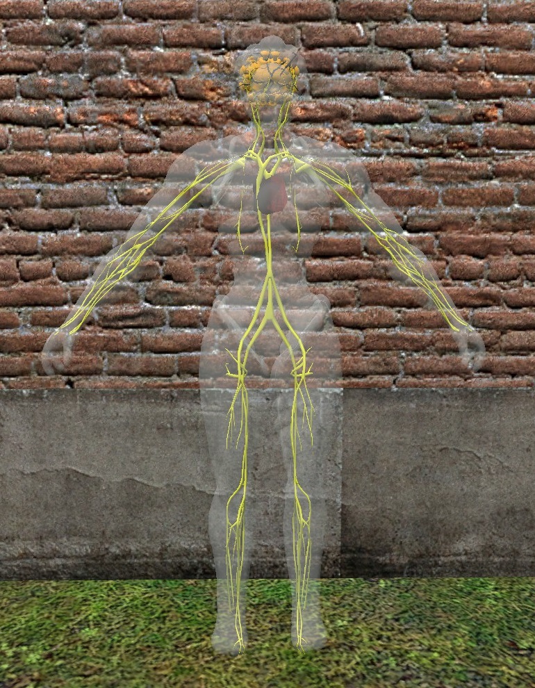 Model: Cellfolk male no fingerposing cheaple