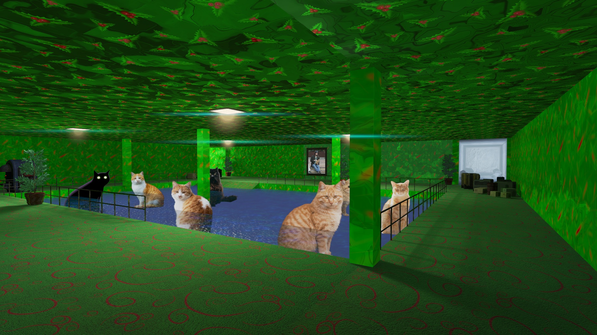 Cat Importance Remastered