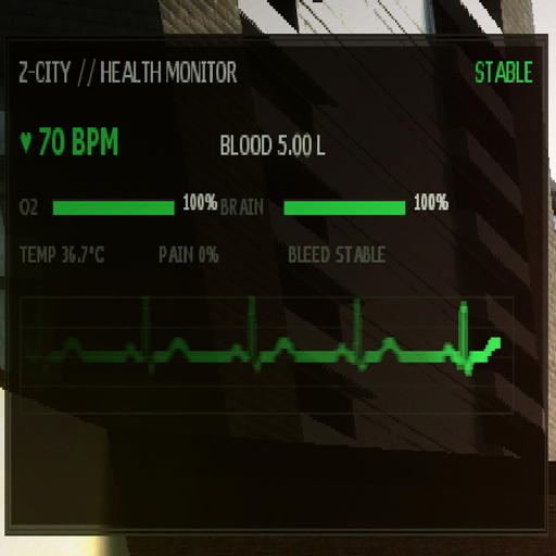 Z-CITY HEALTH MONITOR preview