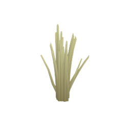 Herb (chives)