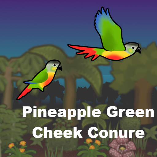 Screenshot 10