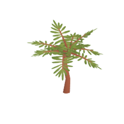 Coconutpalm