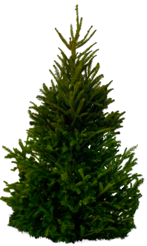 Christmas tree – Barotrauma Mod