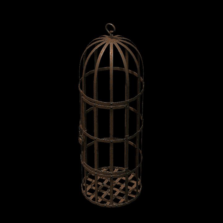 Medeival Cage