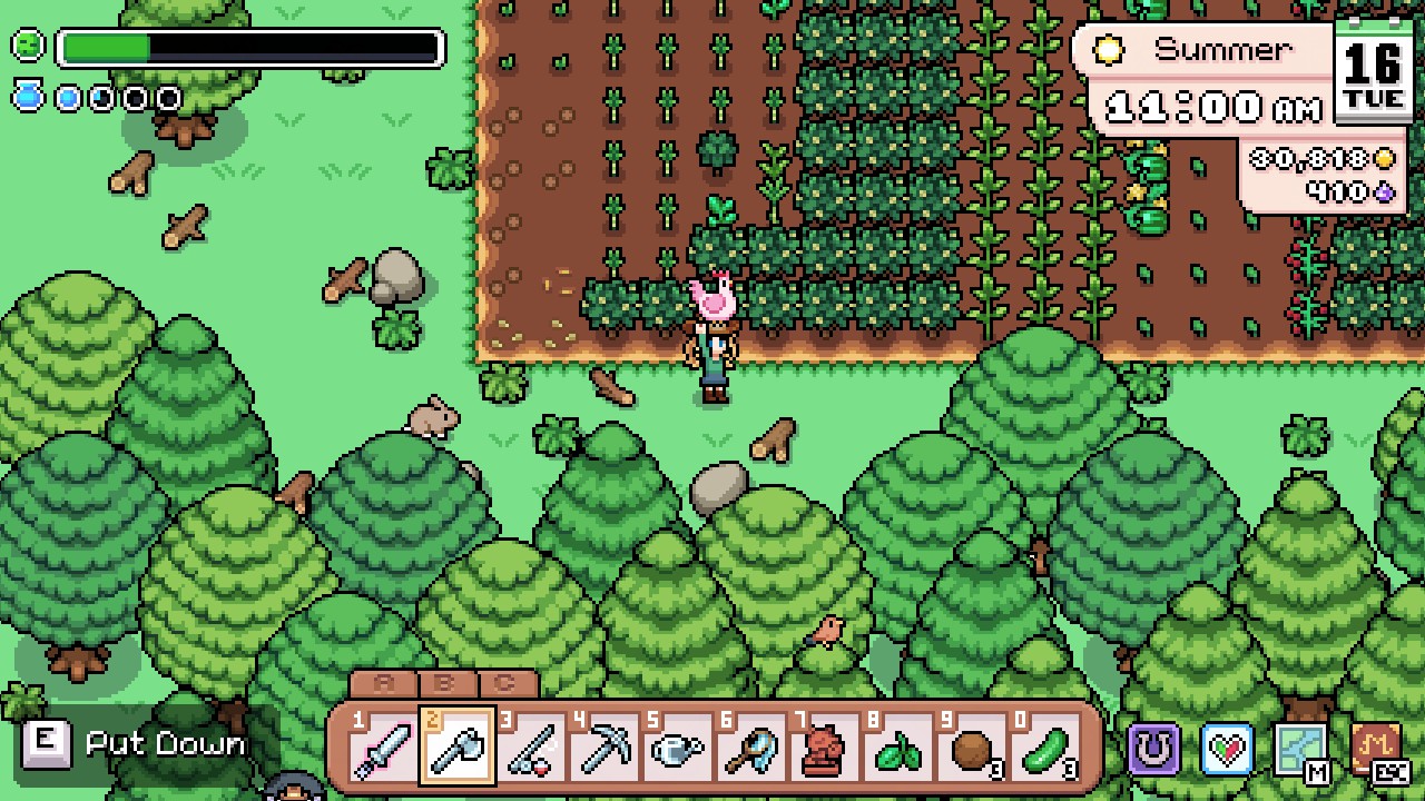 Скриншот игрового процесса Fields of Mistria