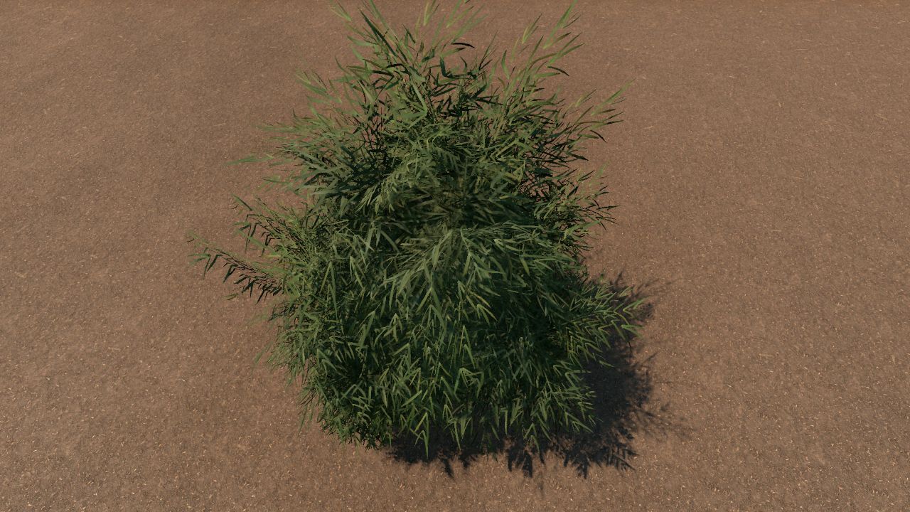 Bamboo Bundle
