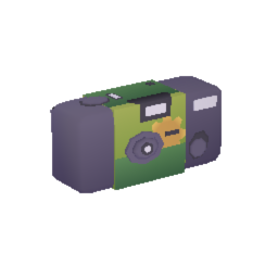 Disposable Camera