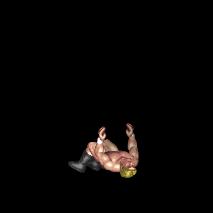 High Angle Moonsault