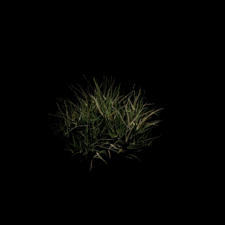 Nature, Grass, Tundra 1