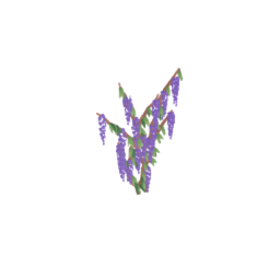 Wall Wisteria