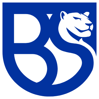 Union Brescia 990 Milhoes euros sem dividas preview