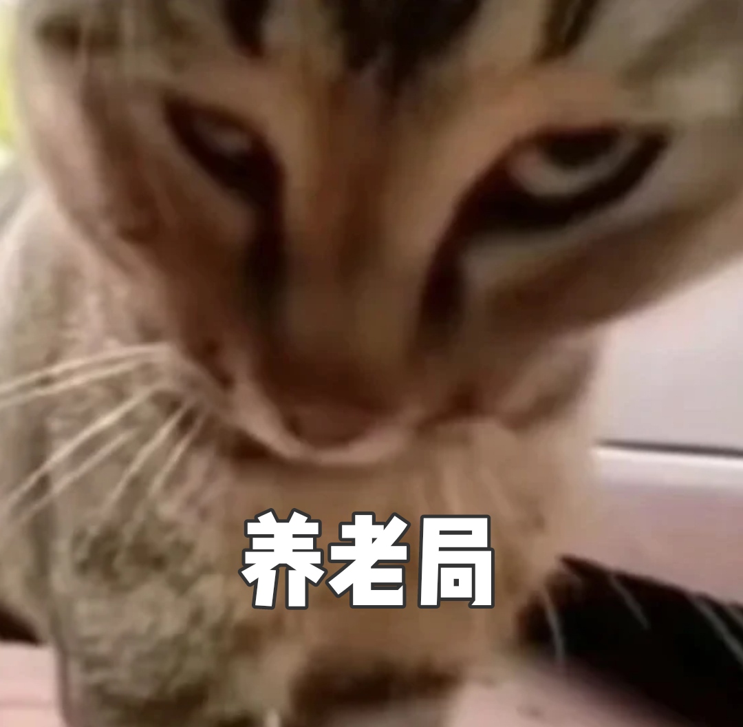 养老局（新）