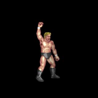 Arm Raise 1 (Fist)
