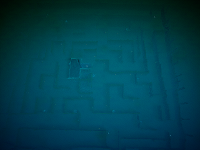 Maze