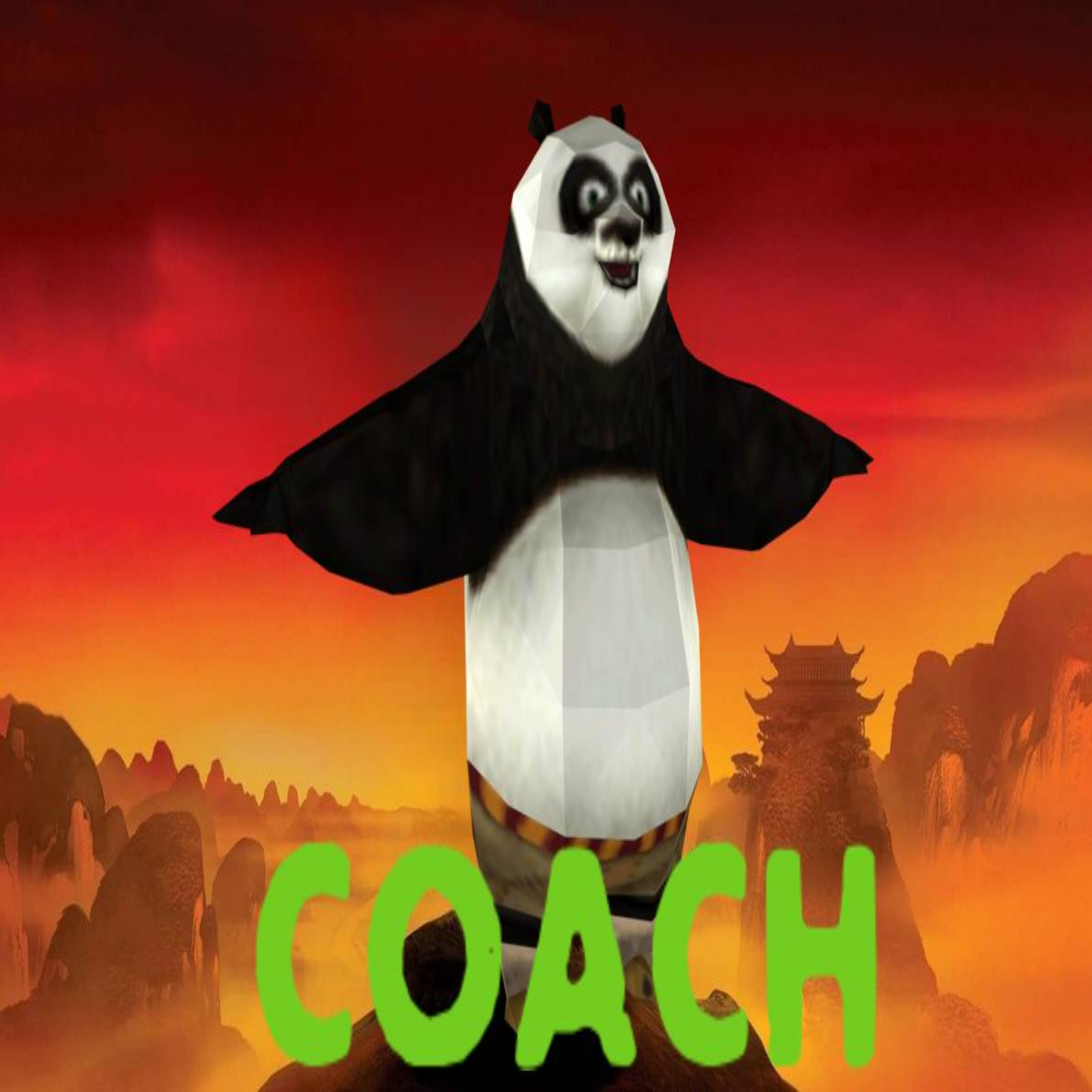 po (kung fu panda 2 DS) over coach
