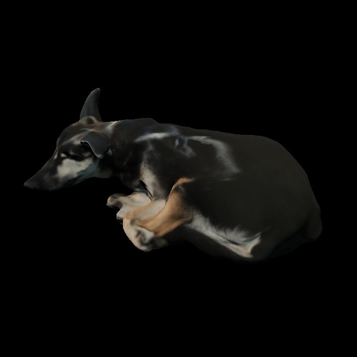 Roxanne dog 2