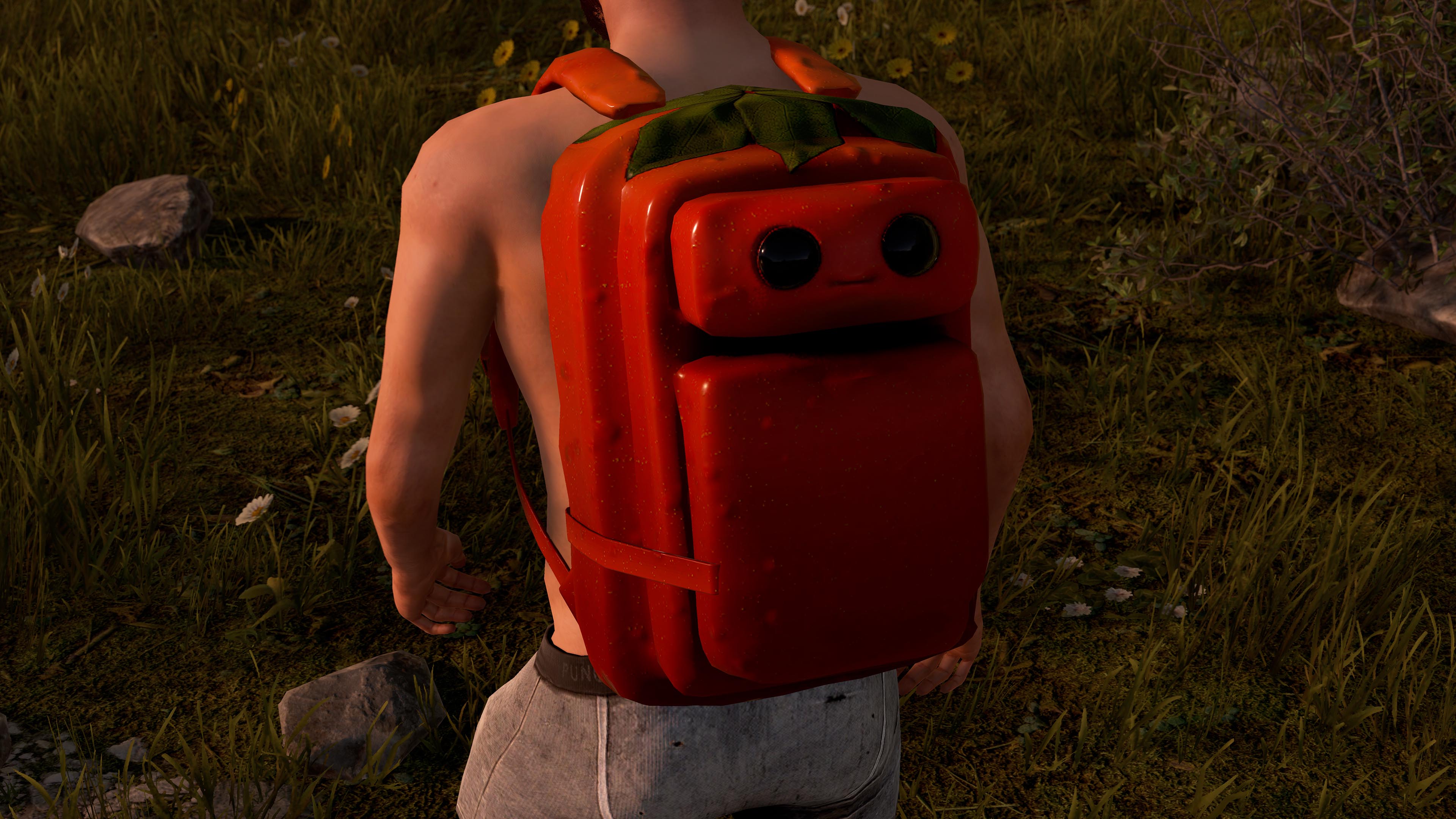 Señor Tomato Large Backpack thumbnail 9