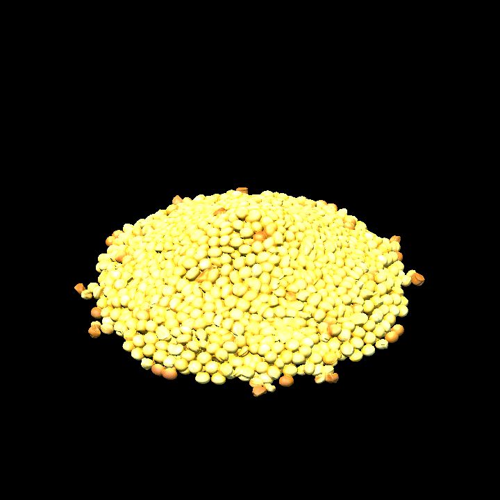 Pile of corn