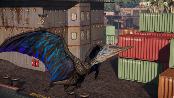 Northropus Ptera (Mutation)