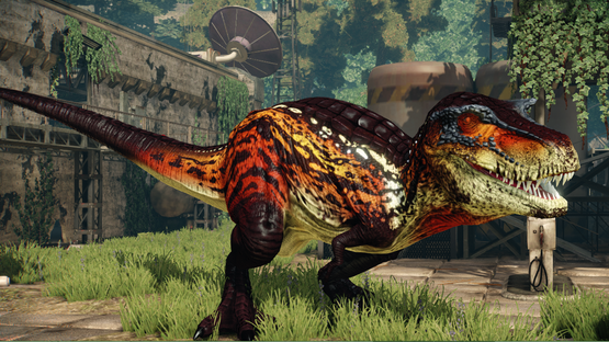Red-Throated Monarch Albertus Rex V2 (Mutation) *Updated*
