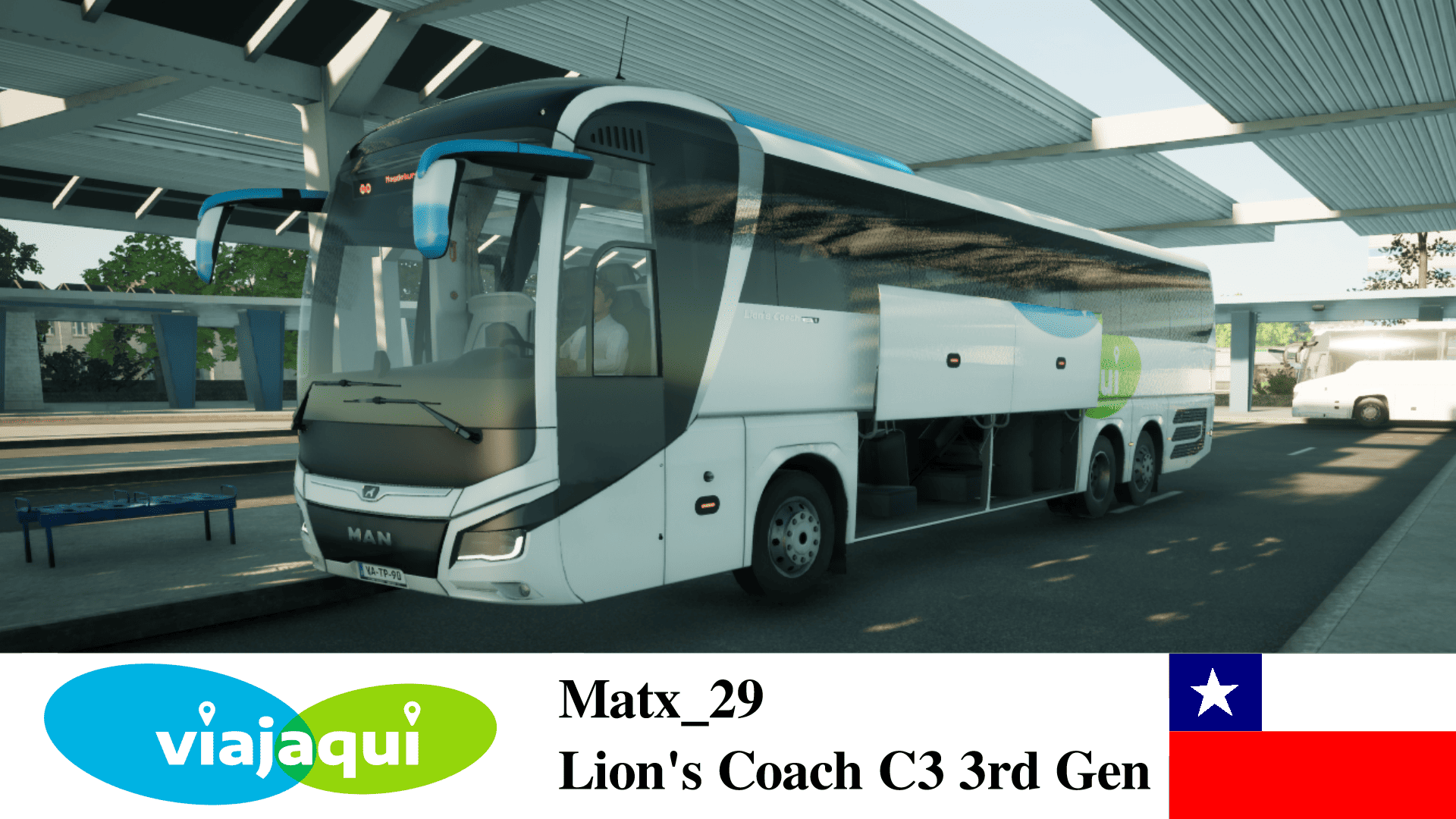 Viajaqui Lion's Coach