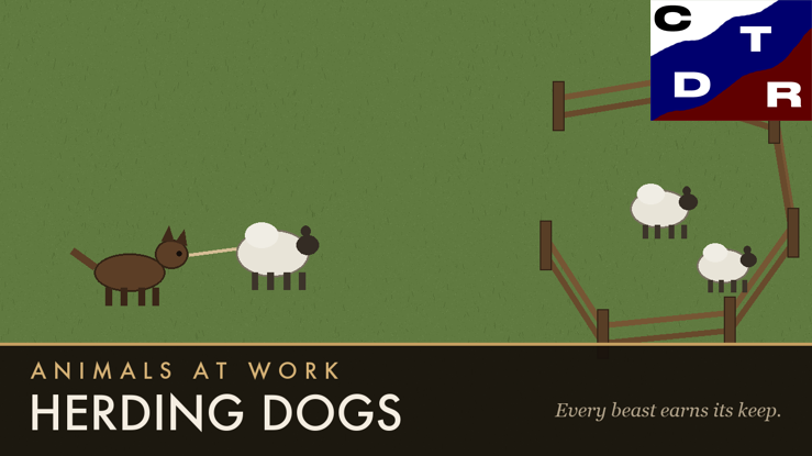 Animals at Work — Herding Dogs rus
