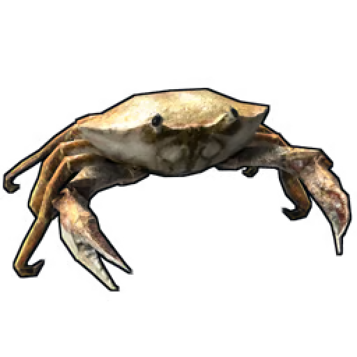 crabs