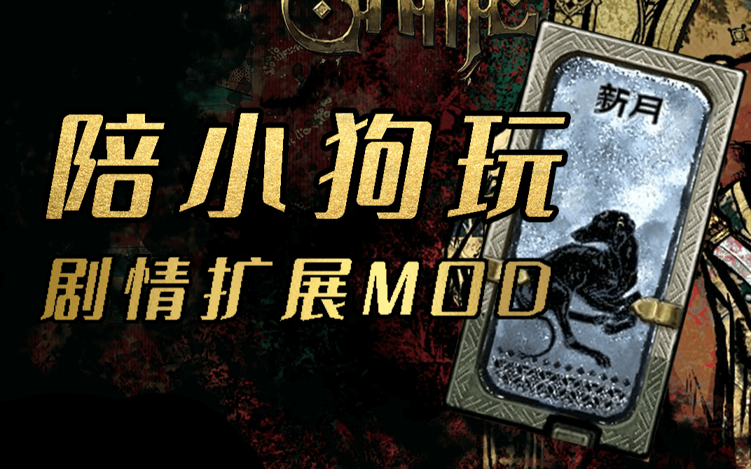 陪小狗玩